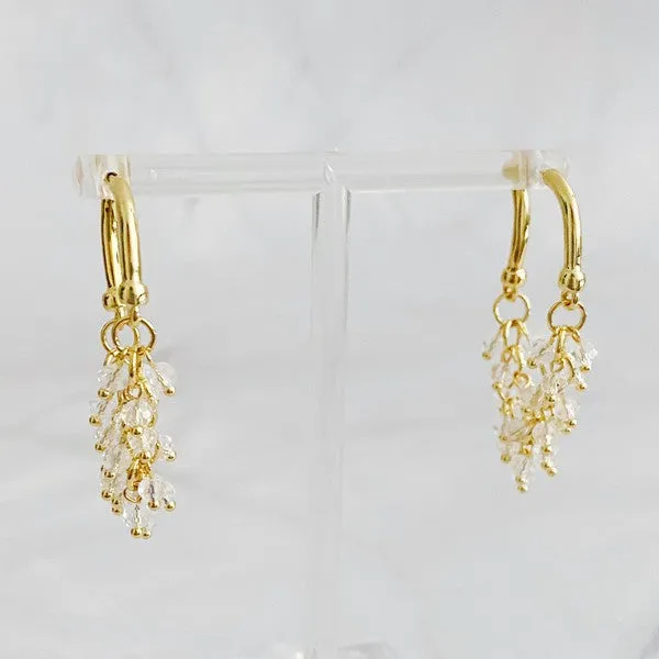 Golden Hoop Acrylic Pearl Beaded Earrings